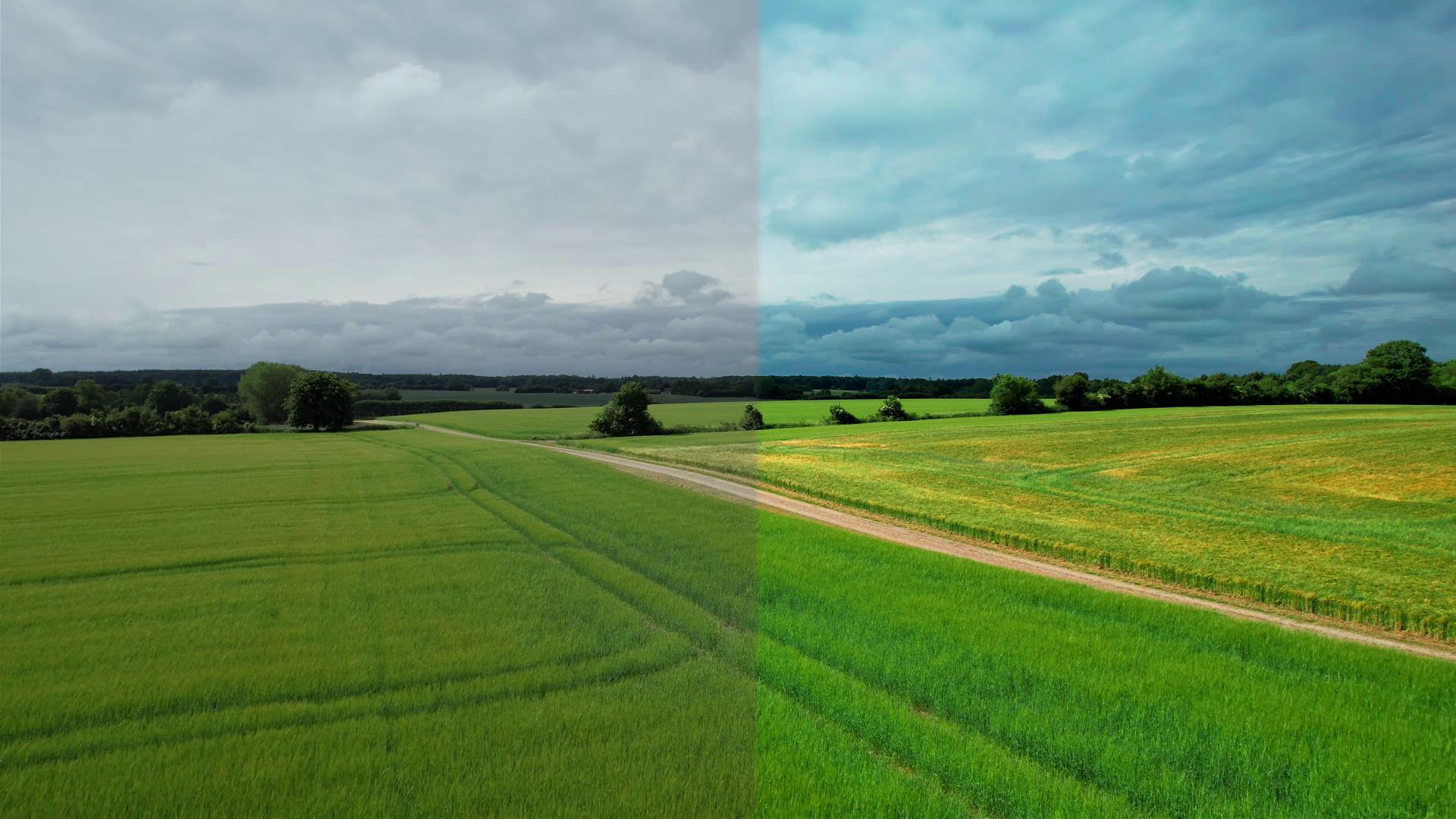 Dronevideo-Before-After